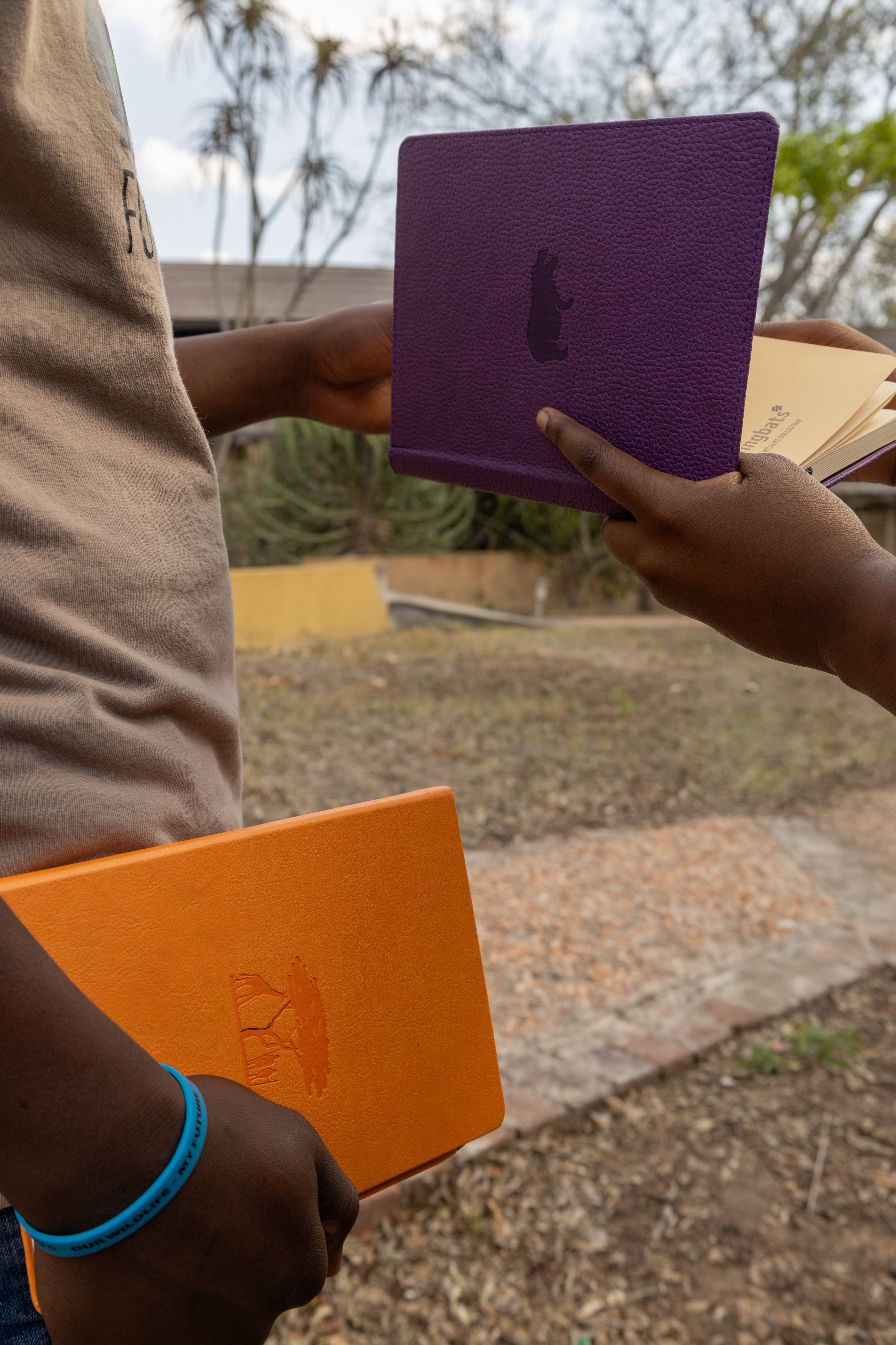 Journaling and Dementia: The Science of Brain Health | Dingbats*