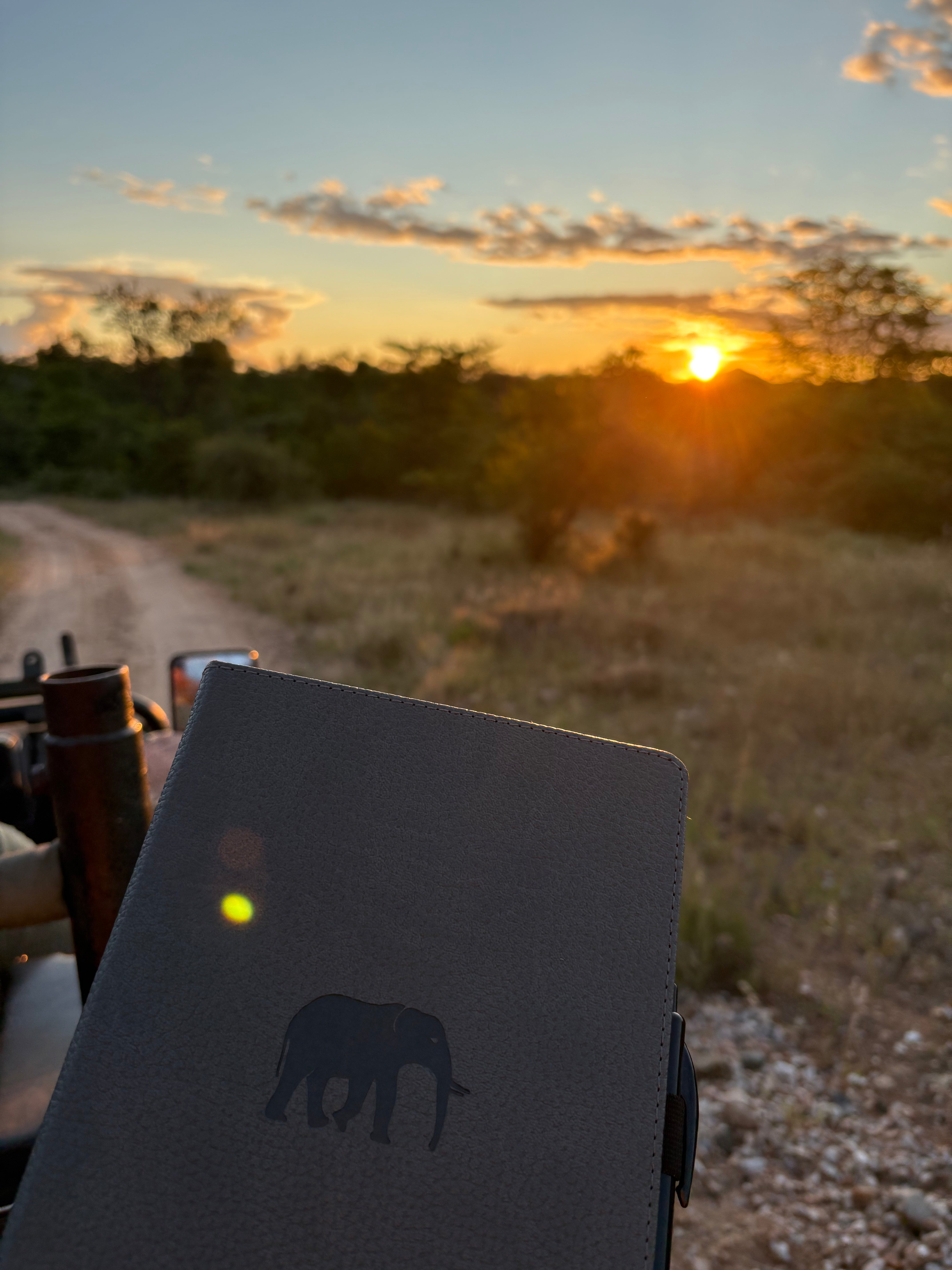 Eco-Friendly Stationery: What Actually Makes a Notebook Sustainable?