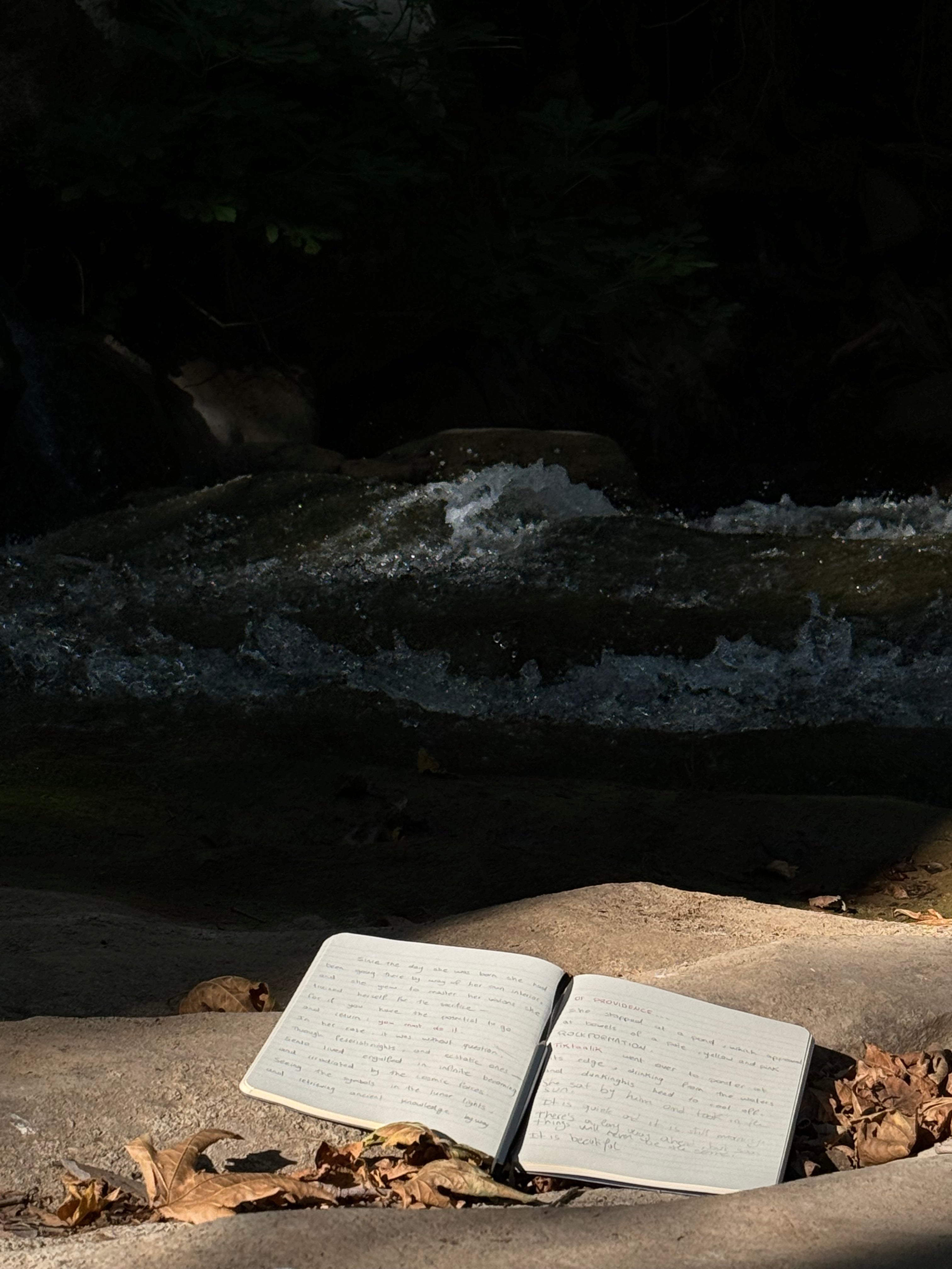 Analog vs. Laptop Note-Taking 2026: Student Guide | Dingbats*