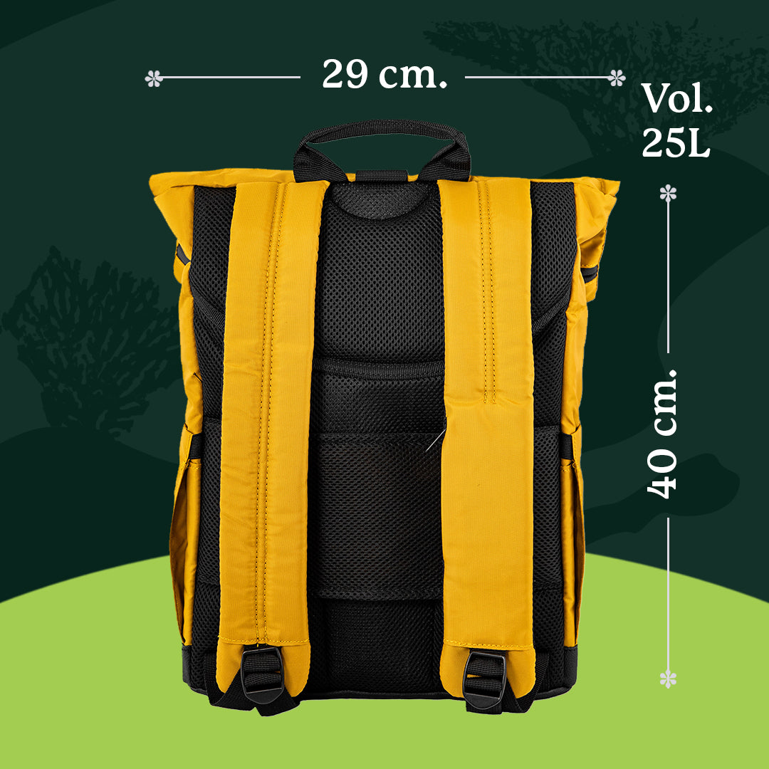 Dingbats* Recycled PET 25L Backpack