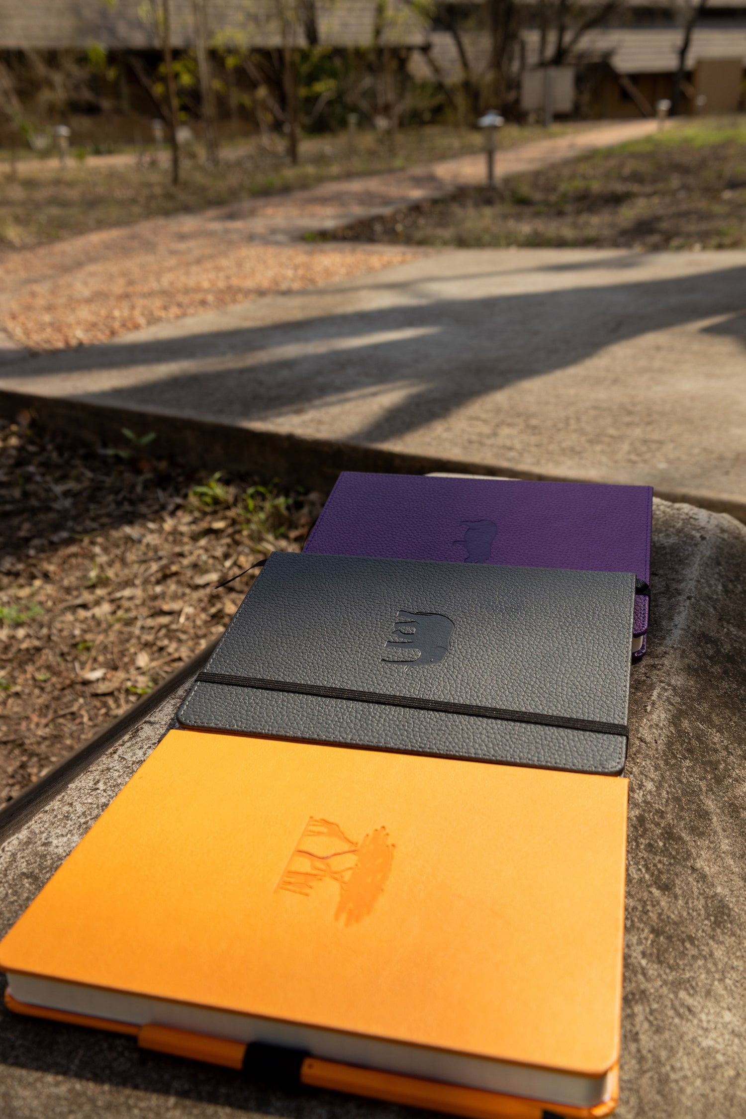 Garden Journaling 101: Planning for Biodiversity | Dingbats*