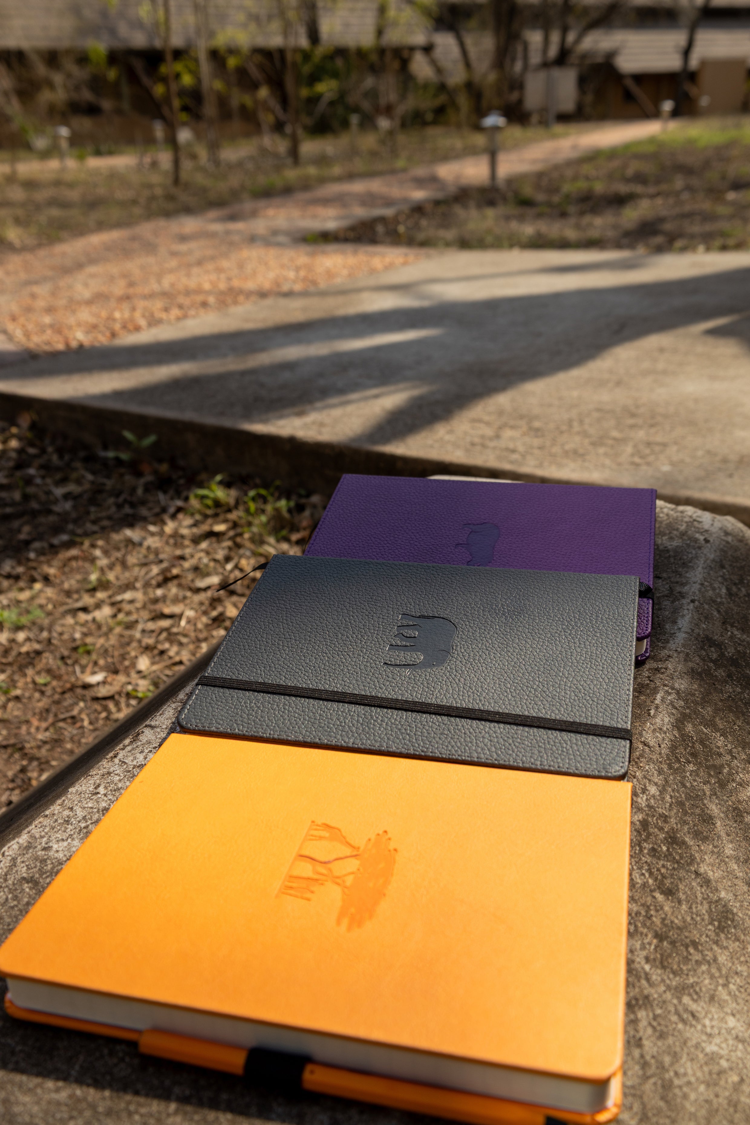 Garden Journaling 101: Planning for Biodiversity | Dingbats*